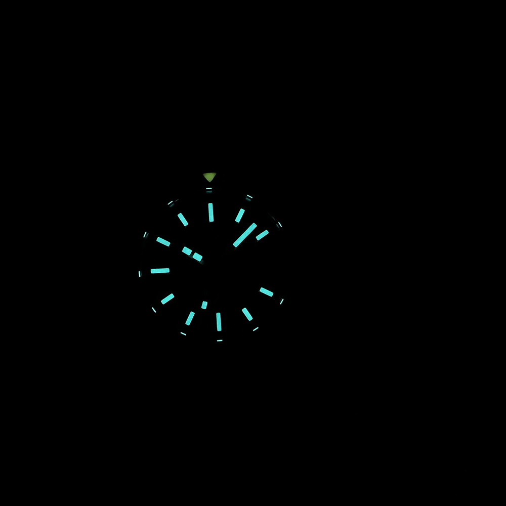STEELDIVE Ufficiale SD1927 BGW - Seiko Watch Prospex recensione e prezzo